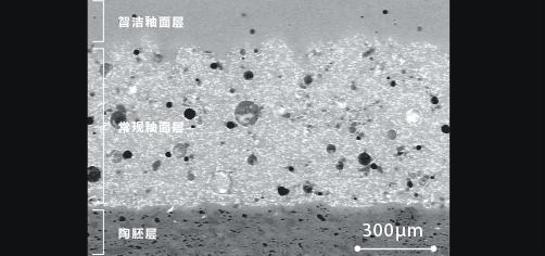 “智潔”坐便器的顯微鏡照片